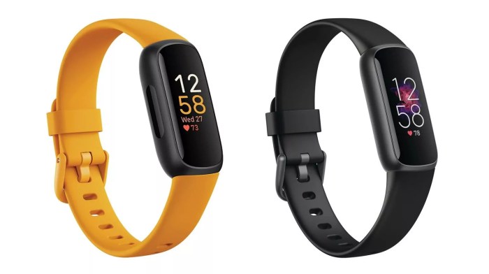 Will my fitbit inspire band fit inspire 2