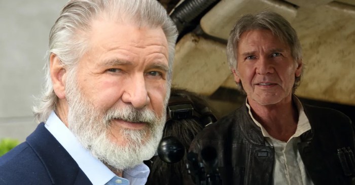 Harrison successful rotello broke Harrison ford broken leg fine disney company