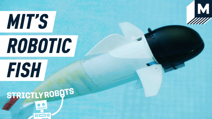Hydrogel soft robot fish claw mit