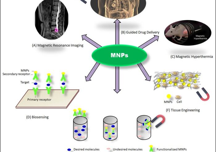 Ferrofluid magnetic nanoparticles biomedicine nasa invention cancer infections neurons