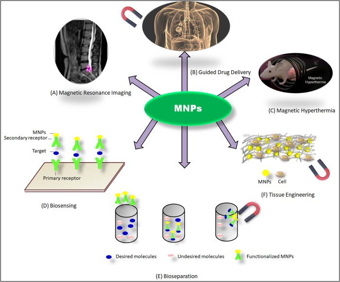 Ferrofluid magnetic nanoparticles biomedicine nasa invention cancer infections neurons