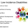 Mulan accessible blockbusters blind low vision deaf hard of hearing audio description captions