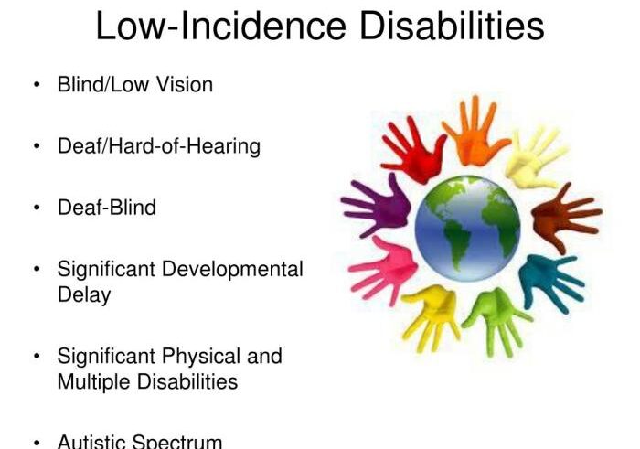 Mulan accessible blockbusters blind low vision deaf hard of hearing audio description captions