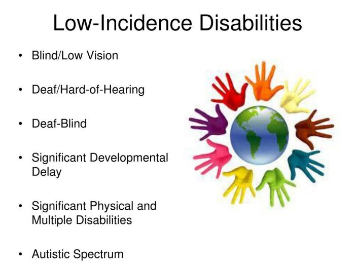 Maxiaids Mulan accessible blockbusters blind low vision deaf hard of hearing audio description captions