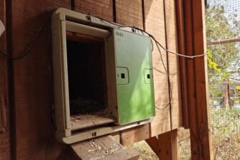 How i made my chicken coop smarter than my chickens