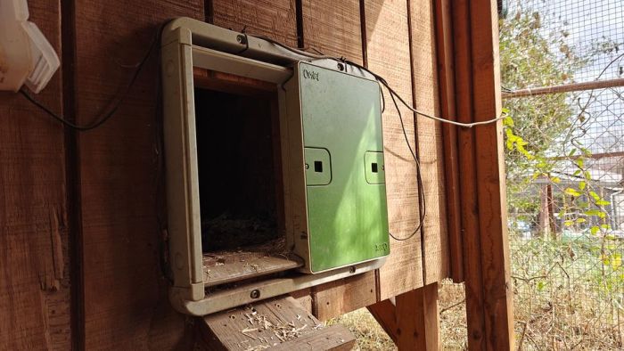 How i made my chicken coop smarter than my chickens