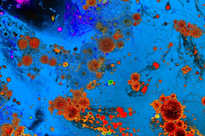 Scientists decode mysteries of the brain with dark matter and the multiverse