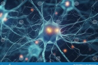 Scientists decode mysteries of the brain with dark matter and the multiverse