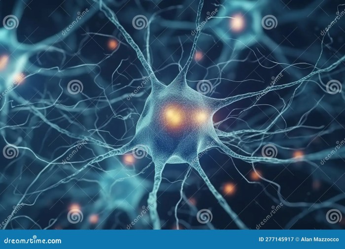 Scientists decode mysteries of the brain with dark matter and the multiverse