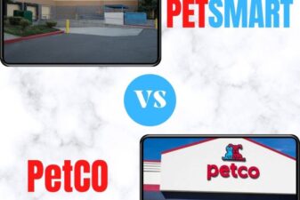 Petsmart vs chewy find out which pet store is cheaper