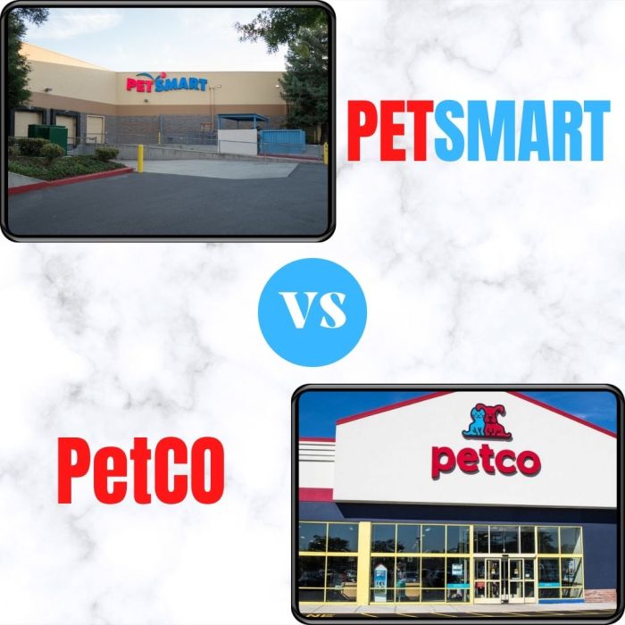 Petsmart vs chewy find out which pet store is cheaper