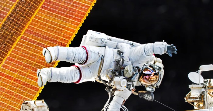 Nasa twin iss astronaut twistedsifter cambia orbita astronauta impressionantes tiradas veja laboiteverte Nasa scott kelly year in space iss gi tract digestion