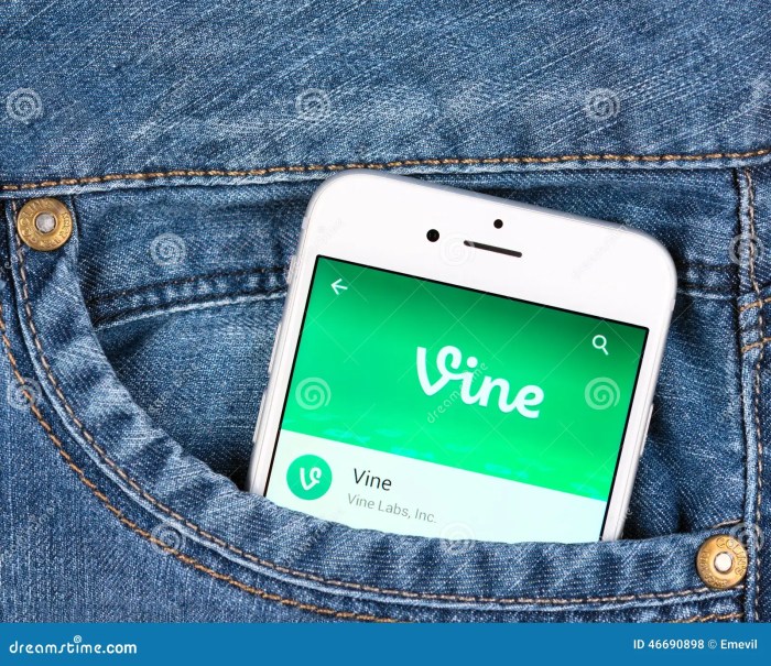 Vine arrives on the apple watch