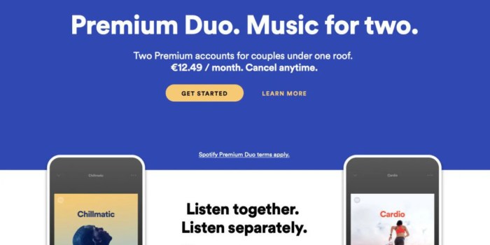 Spotify premium duo mix pilot program two subscription discount