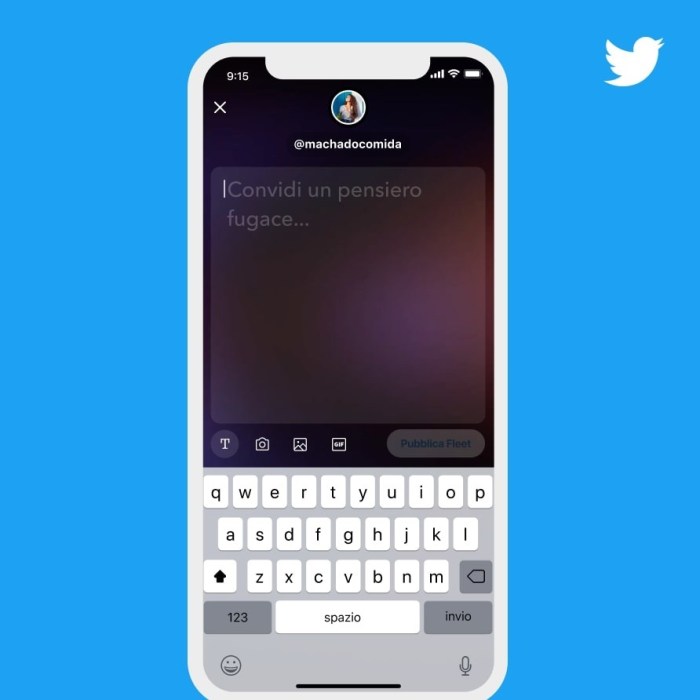 Twitter ends fleets experiment