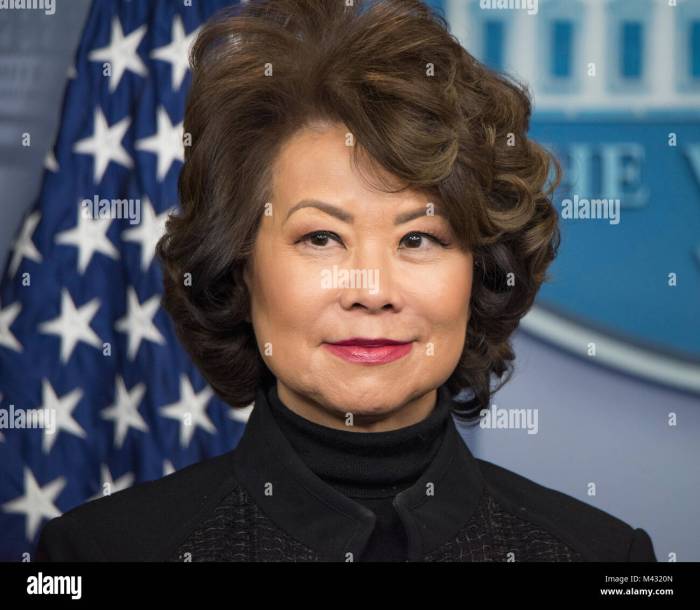 Elaine chao transportation 13th secretary Elaine chao transportation secretary trump administration