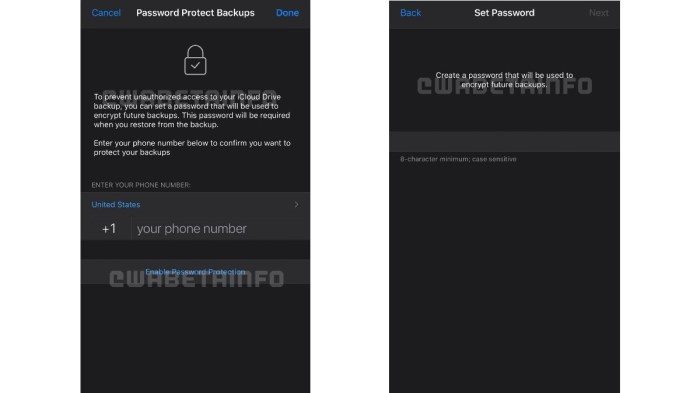 Whatsapp cloud backups icloud google drive password encryption security