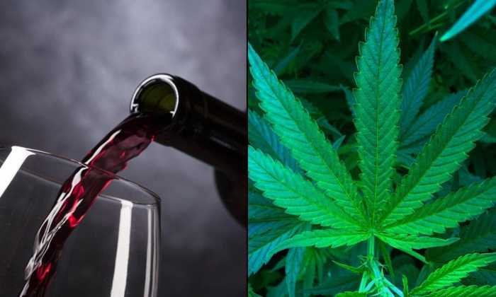 Jerry marijuana expect heitman Jerry marijuana expect heitman