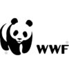 World wildlife fund nft polygon layer 2 blockchain energy emissions