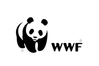 World wildlife fund nft polygon layer 2 blockchain energy emissions