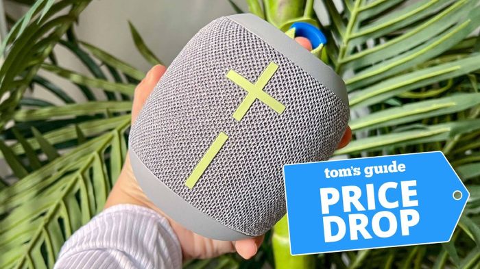 Jbl bluetooth speakers and earbuds get price drops for prime day