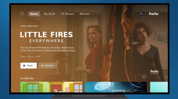 Hulu college student discount ads watch party offline download