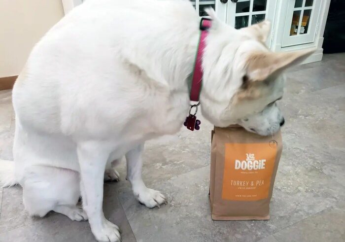Yadoggie pet food subscription dog delivery smart scooper