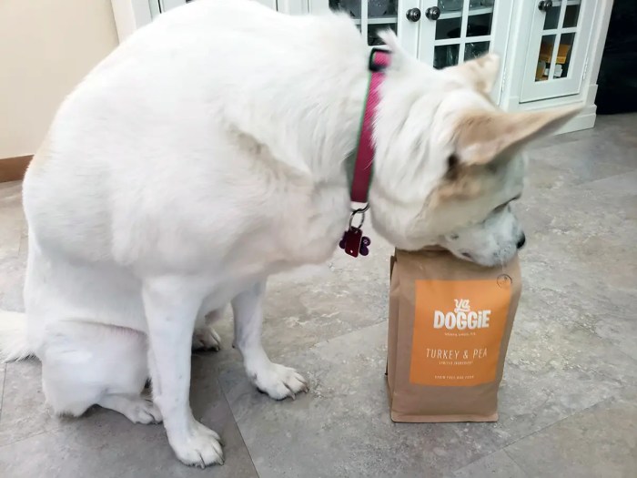 Online Pet Food Subscriptions | Banquet Pet NZ Yadoggie pet food subscription dog delivery smart scooper