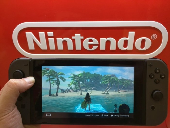 Nintendo switch pro e3 expectations bigger screen 4k gaming and hopefully a new controller