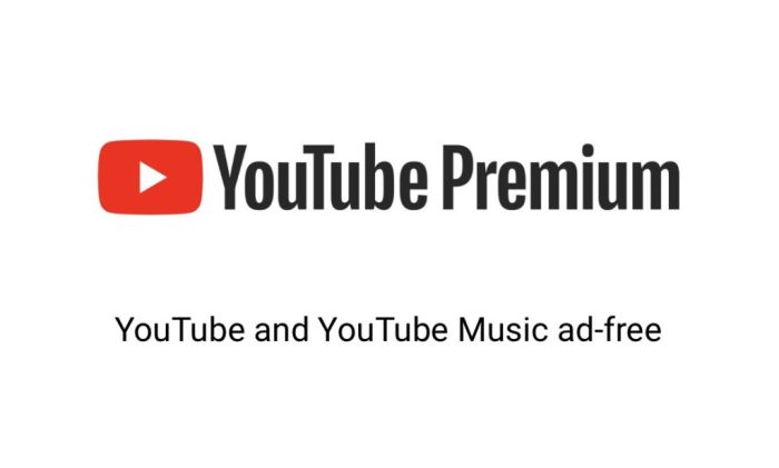Youtube could be getting new music controls premium subscribers