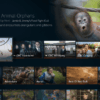 How use amazon fire tvs live tab menu