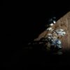 Ancient artists painted with fire to bring their creations to life