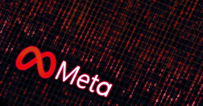 Meta internews trusted partners human rights report