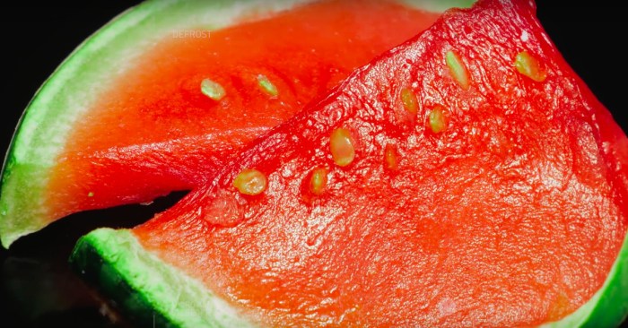 Stereokroma youtube channel asmr thawing fruits and vegetables