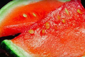 Stereokroma youtube channel asmr thawing fruits and vegetables