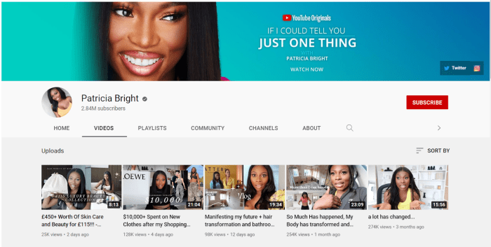 Youtube influencers personalities employees creators career