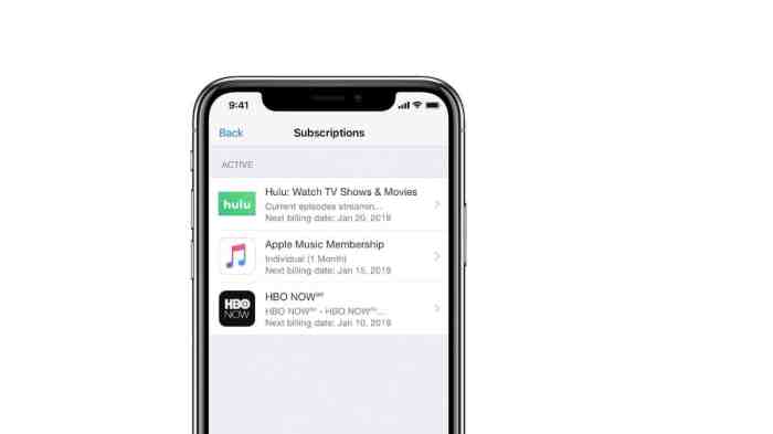 Apple ios iphone in app subscriptions discount policy
