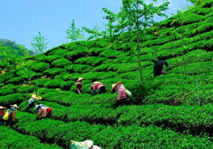 Visiting china great way see just how much you rely google