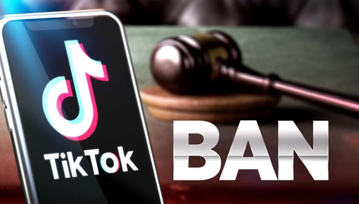 Tiktok ban extension sen markey 270 day proposal